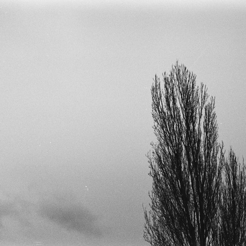 20 minutes with the slr kit and some synths.