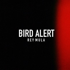 Bird Alert (SoundCloud Exclusive)