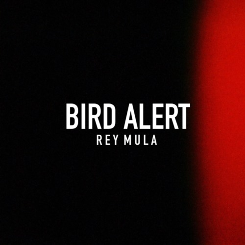 Bird Alert (SoundCloud Exclusive)