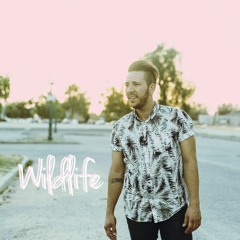 WILDLIFE FINAL DEMO MIX