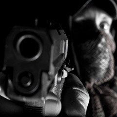 FiRE (ElectroSnake Remix)