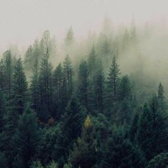 Tennessee Wiskey - Chris Stapleton (live 4.02.2017)