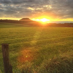 Run (feat. Andrew Denicola)