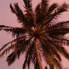 warmth//