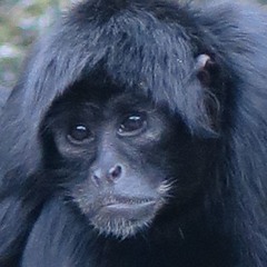 Wish I Was Beautiful