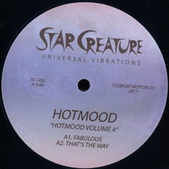 Hotmood - That's The Way