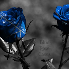 Blue Rose Cases