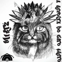 02 - A Revolta Do Gato Preto - Eu Sou um Gato Preto