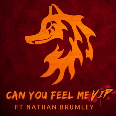 Can You Feel Me (ft Nathan Brumley) [VIP]