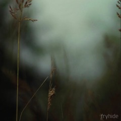 DWNLD_2