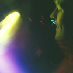 dogschasingcats (rough)