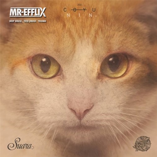 Coyu - LIfe Without You ( MR EFFLIX REMIX ) More Info check track subscribe ⬇️