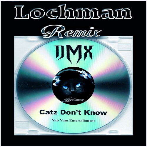 😼 😼 😼  Lochman Remix DMX "Cat's  Don't  Know"  😼 😼 😼
