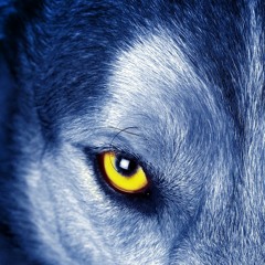 Lycan (Lyceum revisited** Prod. Avance Logico)