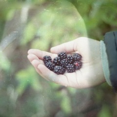 Jungle- Tash Sultana