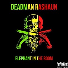 Track 6 Elephant In The Room