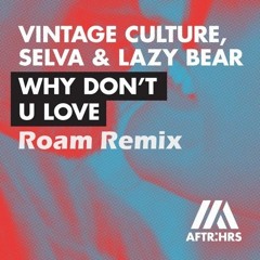 Vintage Culture, Selva & Lazy Bear & Cat Dealers - Why Don’t U Love (Roam Remix)