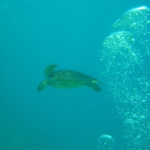 Under Waves (with Jonny Poole)