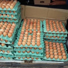 MONTAGEM CARRO DO OVO DJ DUIM SG