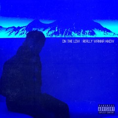 on the low/really wanna know ft. Jats Da Kiid (prod. oneninenine)
