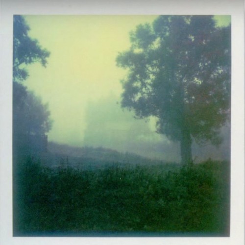 10 Polaroids (Dohnányi String Trio)[2017]