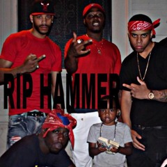 Hammer Ask ( R.i.p Hammer )