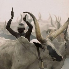 10 Instrumental 10 Mangalam - Wai Zumala