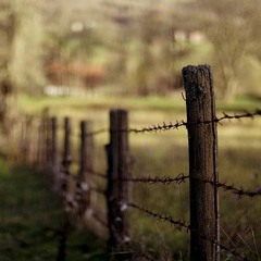 그날들 (김광석)