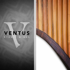 Ventus Pan Flutes: "Immersion" by Brad Jerkins