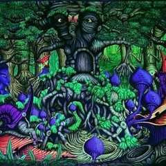 shamanic Mentalist (mixed by KRONOSPHERE )