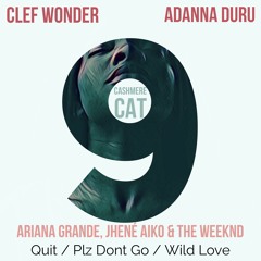 Quit / Plz Dont Go / Wild Love (feat. Adanna Duru) - Cover from Cashmere Cat