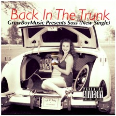 Back In The trunk by (GBM$oSS)