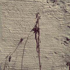 pUsH 1† d0Wn (D3M0)