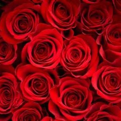 Sixty Five Roses Everlast - Cover by Danny Imbeau