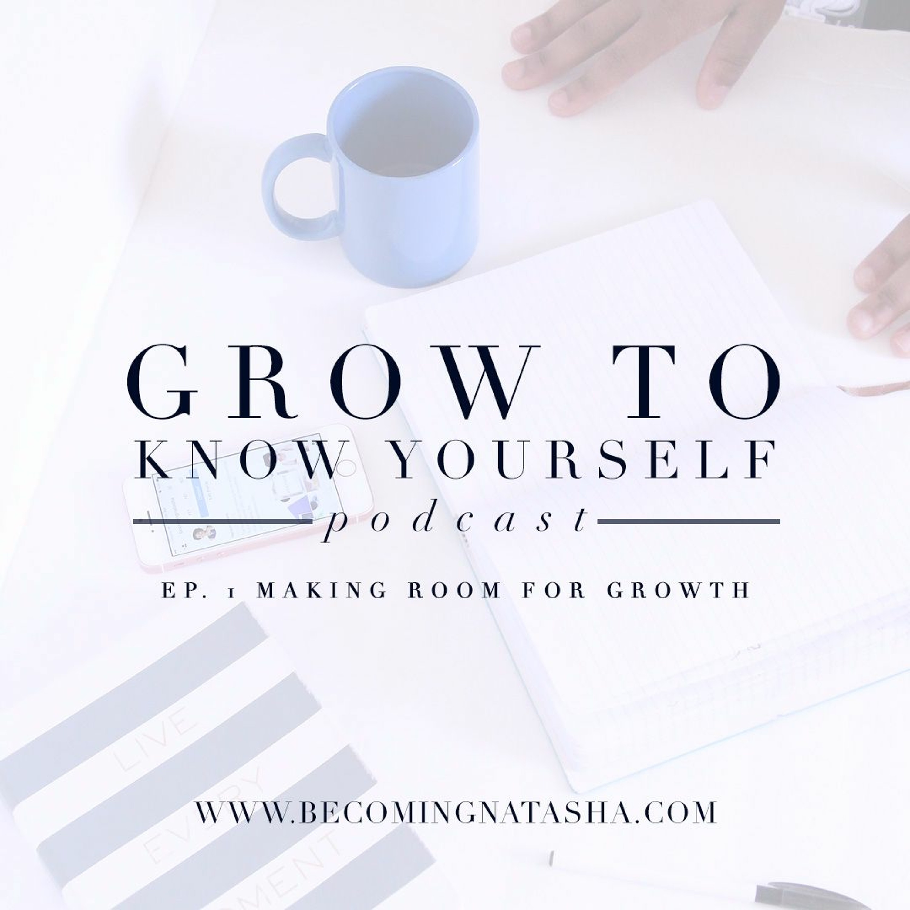Making Room For Growth episode artwork