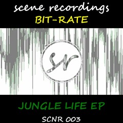 Bit-Rate (UK) - Jungle Life EP