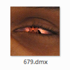 679.dmx
