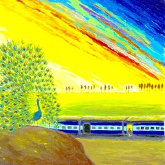 Peacock (Woody Accouche)