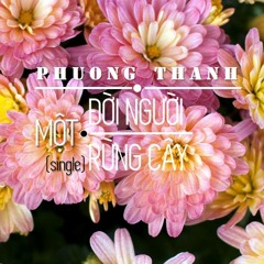 Một Đời Người Một Rừng Cây - Phương Thanh