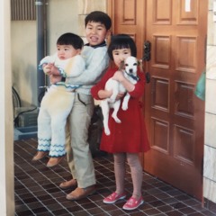 sunny day service - 甘い風  sweet wind