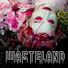Strange Wasteland - radio edit