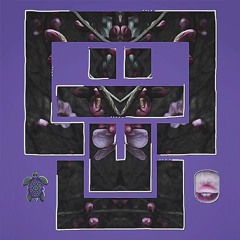 Subturtle & Anyon - Wait For It