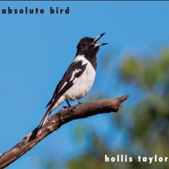 20 - Green Lake Victoria Excerpt