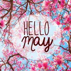 05/17