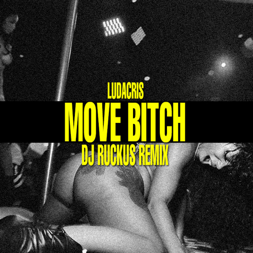 Move Bitch (DJ Ruckus Remix)