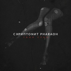 Скриптонит Feat. PHARAOH - Твоя сука