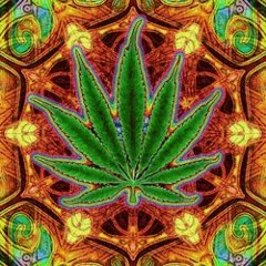 Ragga dub /jungle
