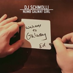 Numb Galway Girl [LINKIИ PARK & JAY-Z vs. ED SHEEЯAИ] (SC edit)