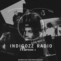 Indigozz Radio Episode 1. stateofthenation