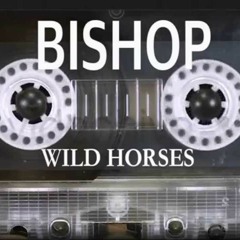 Wild Horses Instrumental (Remake)